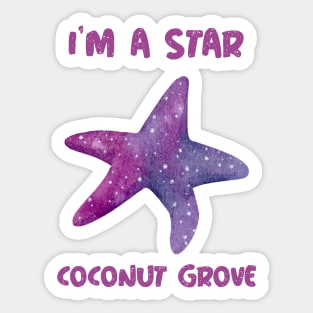 I'm A Star In Coconut Grove Florida Sticker